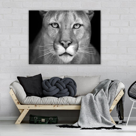 Lioness Canvas Schilderij PP12718O1