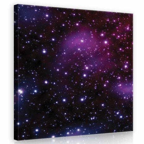 Cosmos Canvas Schilderij PP20388O2