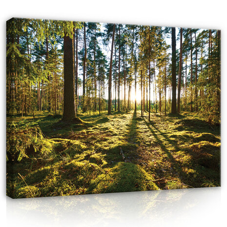 Nature landscape forest trees Canvas Schilderij PP14505O20