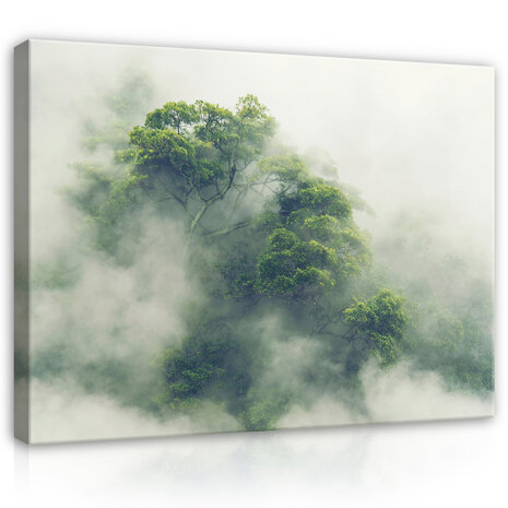 Landscape nature forest fog Canvas Schilderij PP14519O20