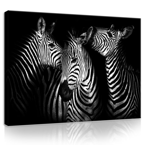 Zebra Canvas Schilderij PP11761O1