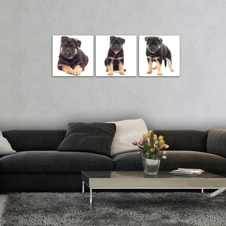 Cheerful Puppies Canvas Schilderij PS10530S13
