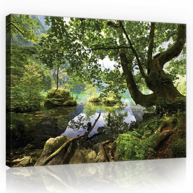 Forest Canvas Schilderij PP10222O1