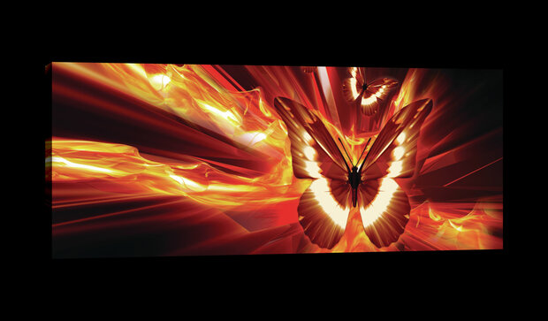 Flaming Butterflies Canvas Schilderij PP20292O3