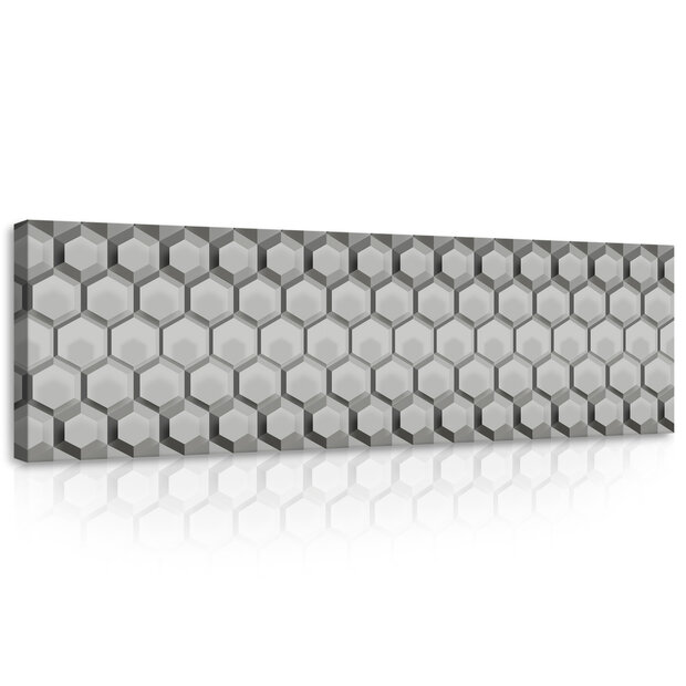 3D Hexagons Canvas Schilderij PP10763O3