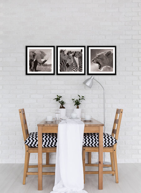 Canvas Schilderij PS11275S13