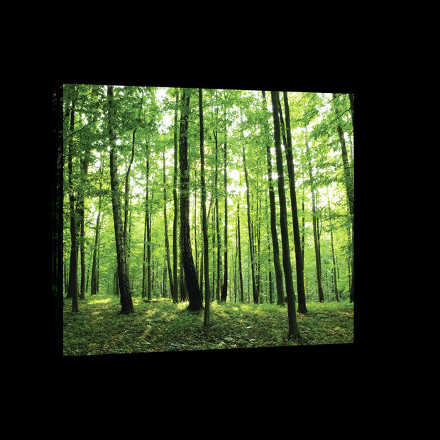Green Forest Canvas Schilderij PP20011O4
