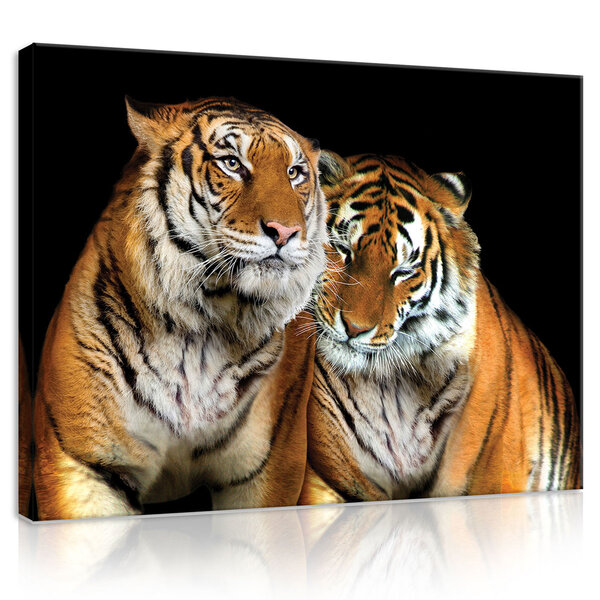 Tigers Canvas Schilderij PP21403O1