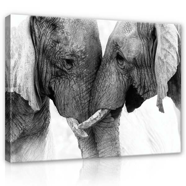 Elephants Canvas Schilderij PP12739O1