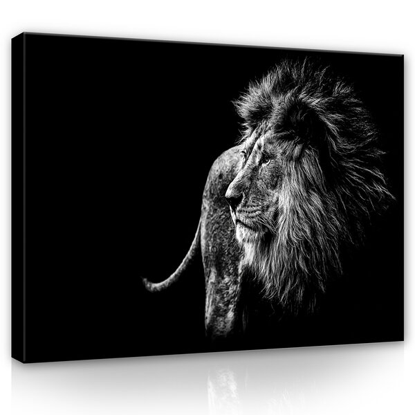 Lion Canvas Schilderij PP12724O1