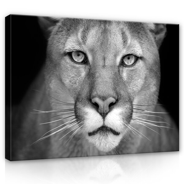 Lioness Canvas Schilderij PP12718O1