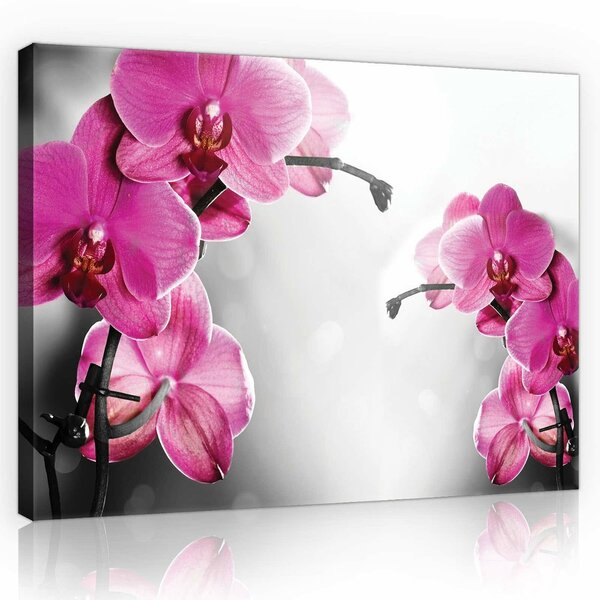 Pink Orchid Canvas Schilderij PP10155O1