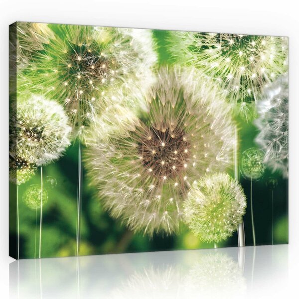 Dandelions on the Green Background Canvas Schilderij PP10221O1