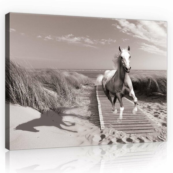 Horse Galloping on the Beach Canvas Schilderij PP10229O1
