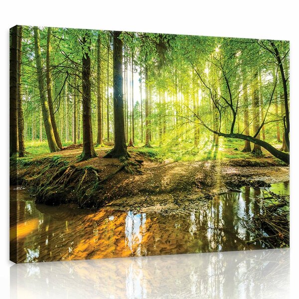 Sunny Forest Canvas Schilderij PP10513O1