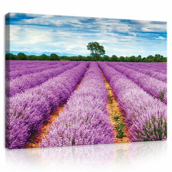 Heather field Canvas Schilderij PP11039O1