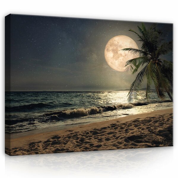 Full moon on the beach Canvas Schilderij PP13999O1
