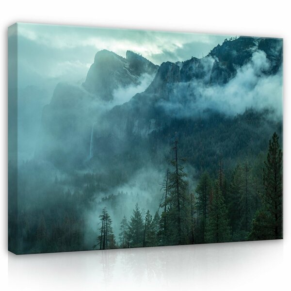 Landscape mountain forest fog Canvas Schilderij PP14587O1