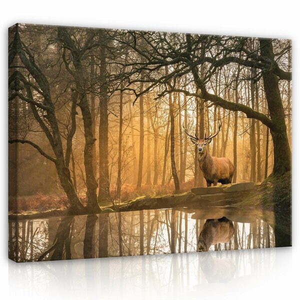 Lanscape nature forest deer Canvas Schilderij PP14520O1