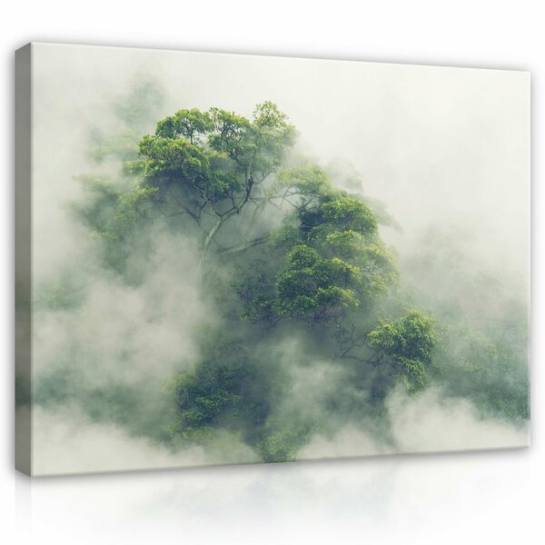 Landscape nature forest fog Canvas Schilderij PP14519O1