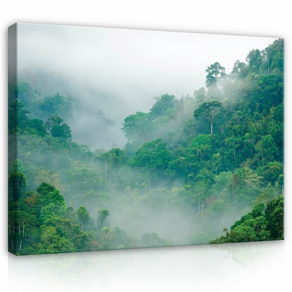 Nature Forest in The Fog Green Valley Canvas Schilderij PP14160O1