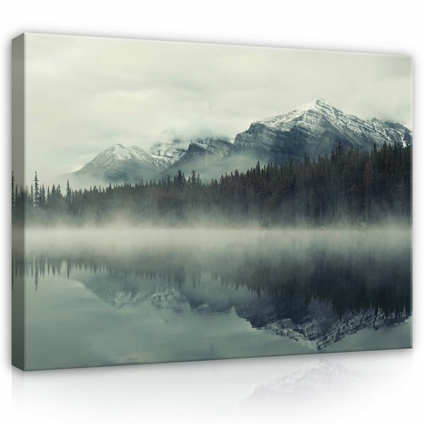 Nature Mountains Forest in Fog Canvas Schilderij PP14099O1