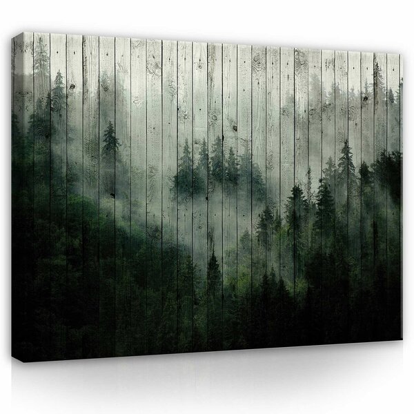 Forest Fog Canvas Schilderij PP13552O1
