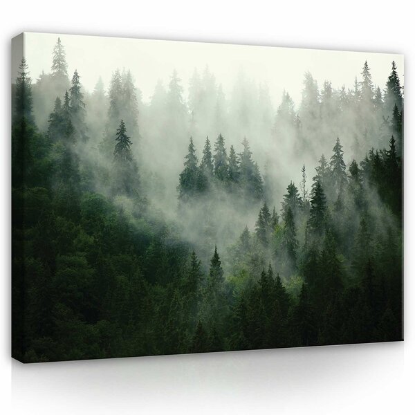 Forest in the fog Canvas Schilderij PP13026O1