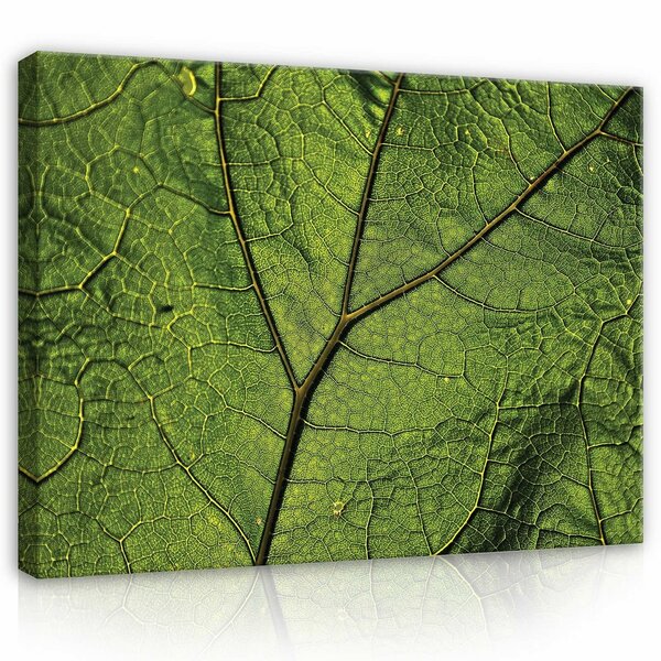 Macro leaf Canvas Schilderij PP13569O1