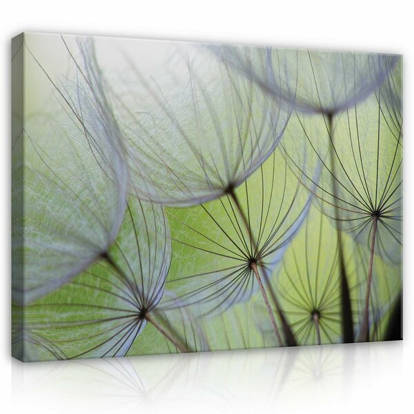 Dandelions Canvas Schilderij PP269O1
