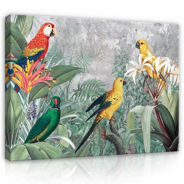 Parrots Canvas Schilderij PP13646O1