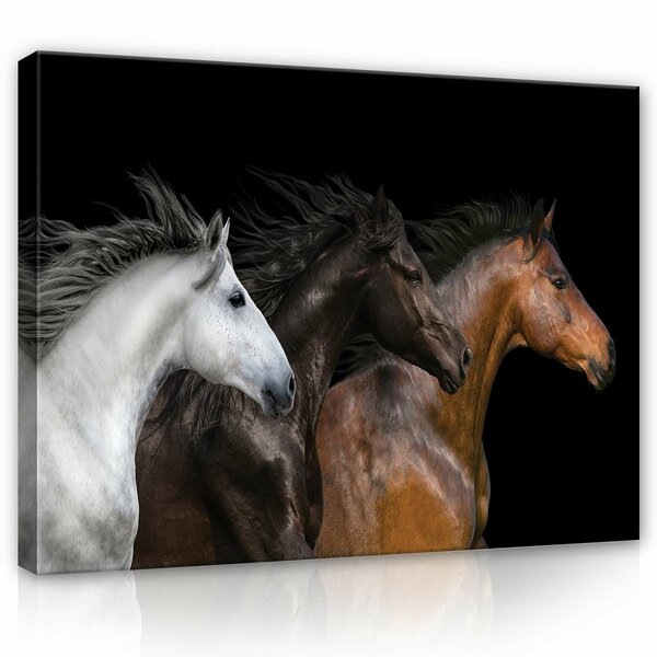 Horses Canvas Schilderij PP12711O1