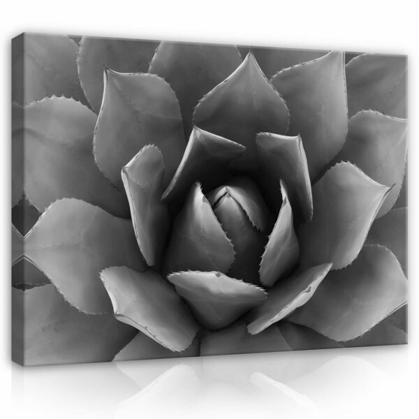 Plant Canvas Schilderij PP12684O1