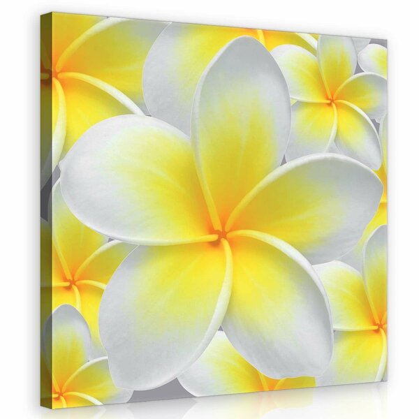 Flowers Canvas Schilderij PP20397O2