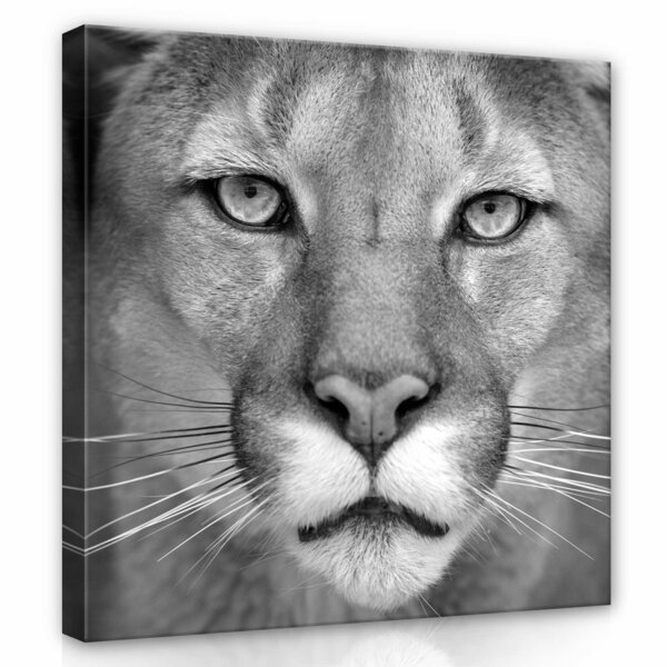 Lioness Canvas Schilderij PP12718O2