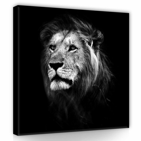 Lion Canvas Schilderij PP11768O2