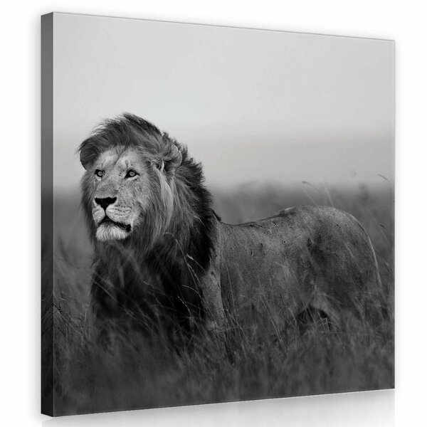 Lion Canvas Schilderij PP11760O2