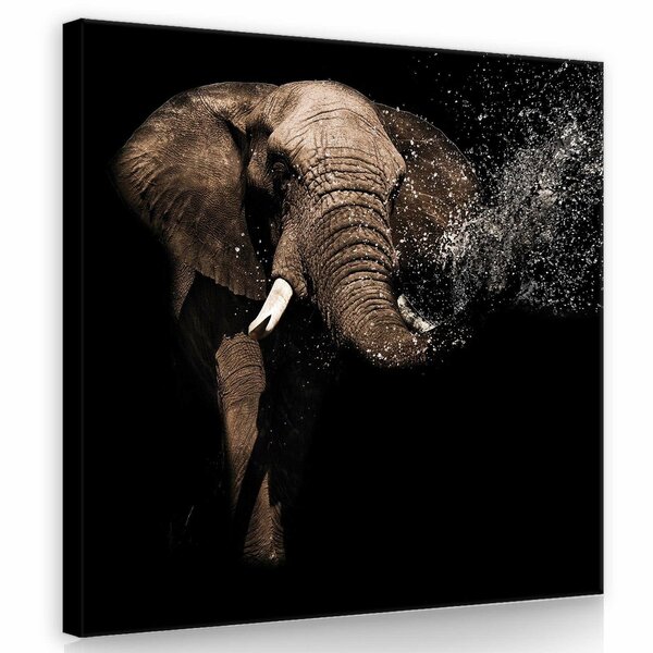 Elephant Canvas Schilderij PP11762O2