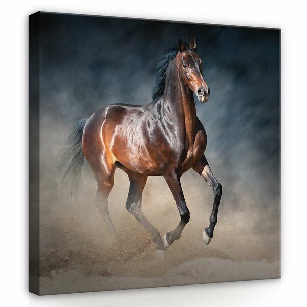 Brown horse Canvas Schilderij PP13600O2