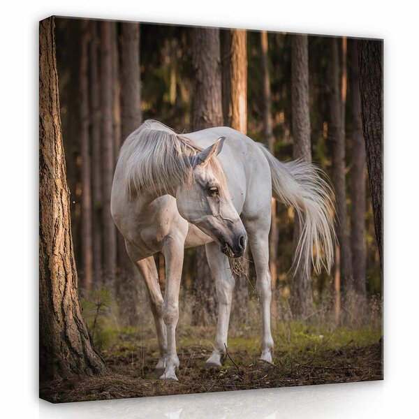 White horse in the forest Canvas Schilderij PP13599O2