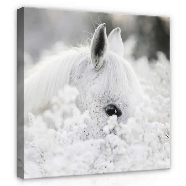 White horse at snow Canvas Schilderij PP13598O2