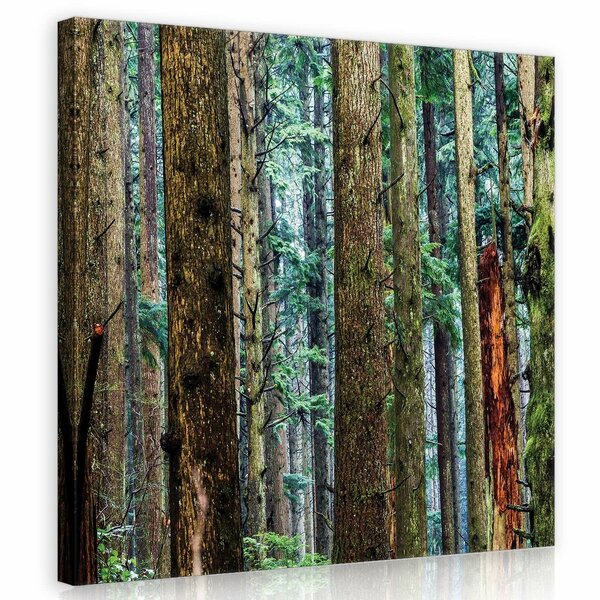 Forest Canvas Schilderij PP11751O2