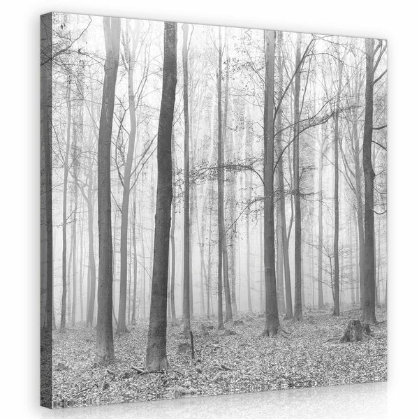 Forest Canvas Schilderij PP11223O2