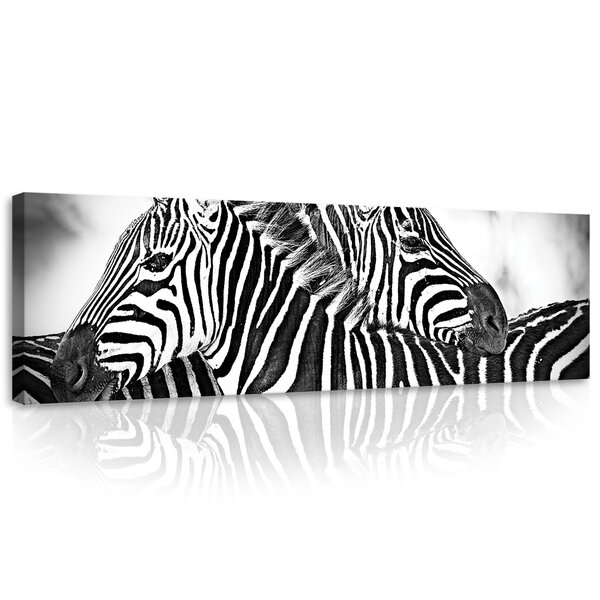 Zebras Canvas Schilderij PP10092O3