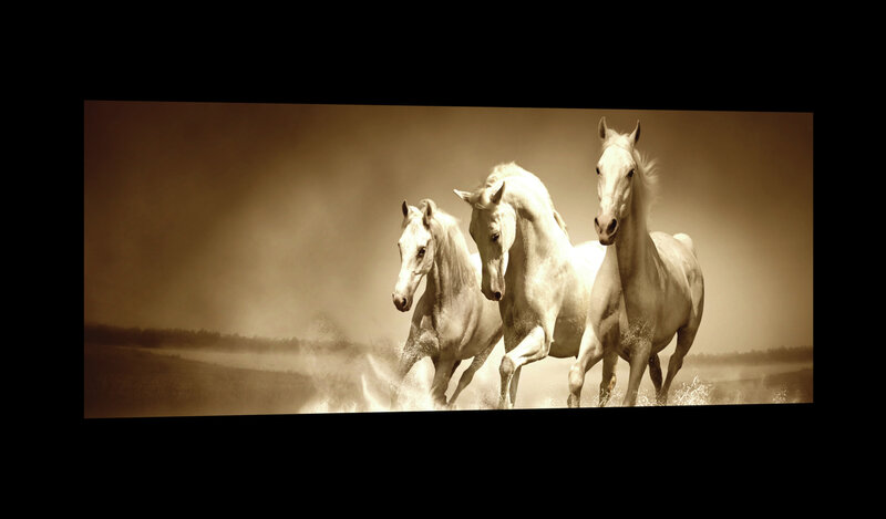 White Horses Galloping on Water Canvas Schilderij PP20299O3