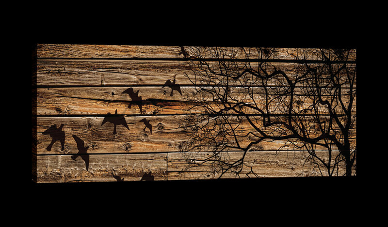 Meadow on Wood Planks Canvas Schilderij PP20127O3