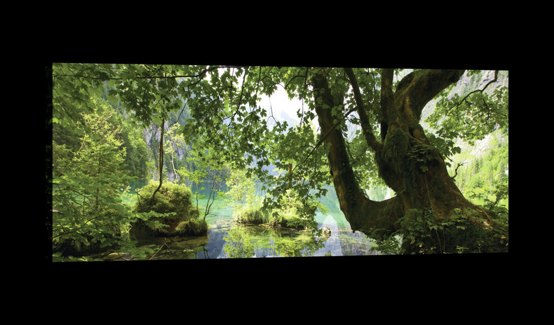 Pond Hidden in the Forest Canvas Schilderij PP20025O3