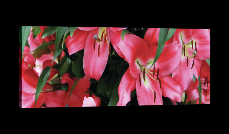 Red Lilies Canvas Schilderij PP20027O3