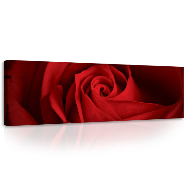 Rose Canvas Schilderij PP10151O3