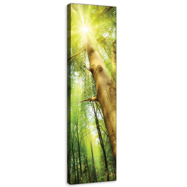Forest in the Daylight Canvas Schilderij PP10112O3